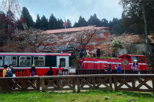 阿里山森林遊樂區