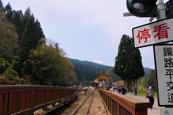 阿里山森林遊樂區