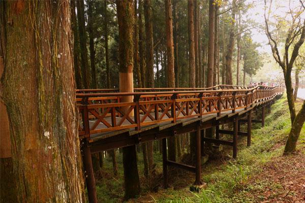 阿里山森林遊樂區